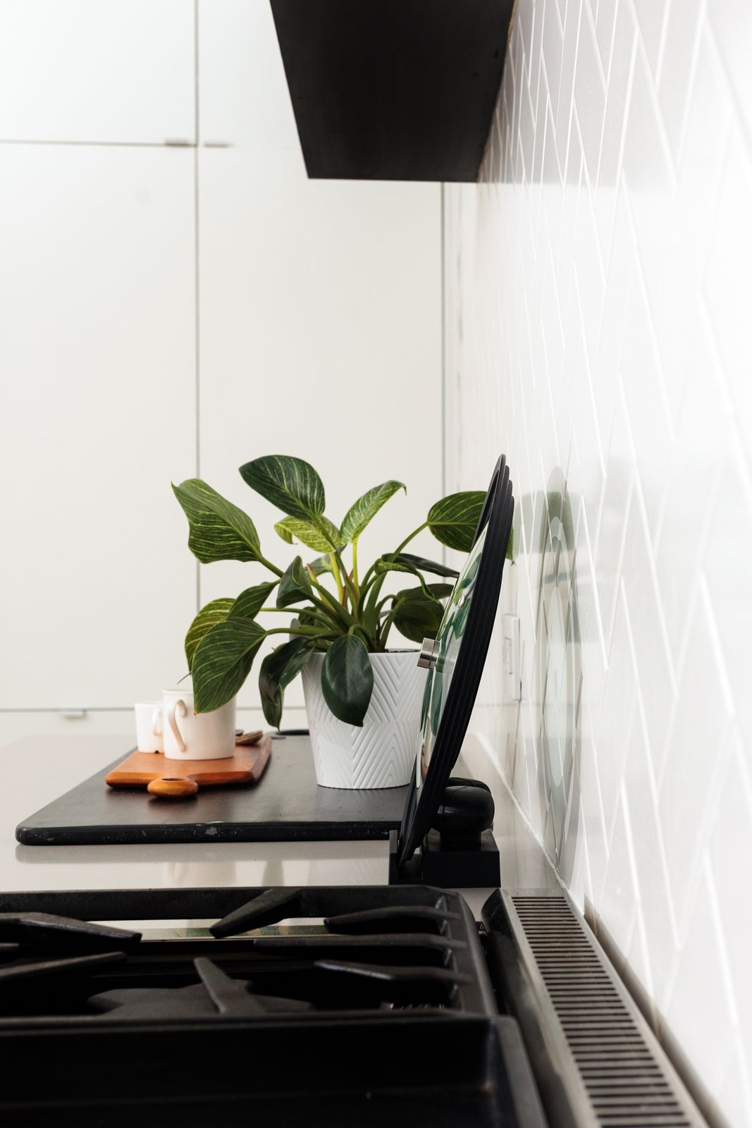 Liddy lids on cookware